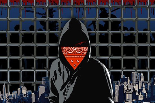 Криминальная хроника