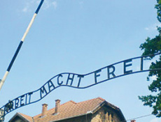 Пережившие Освенцим