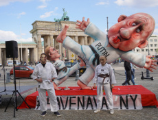 Рейнские мотивы политического активизма