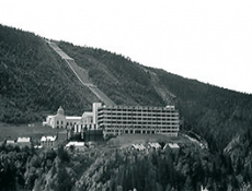 Тяжелая вода и Урановый проект Третьего рейха