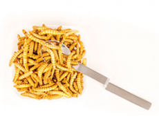 Съедобное-несъедобное 