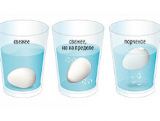 Вокруг яйца