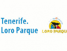 Tenerife. Loro Parque