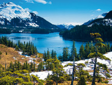 Аляска без политики